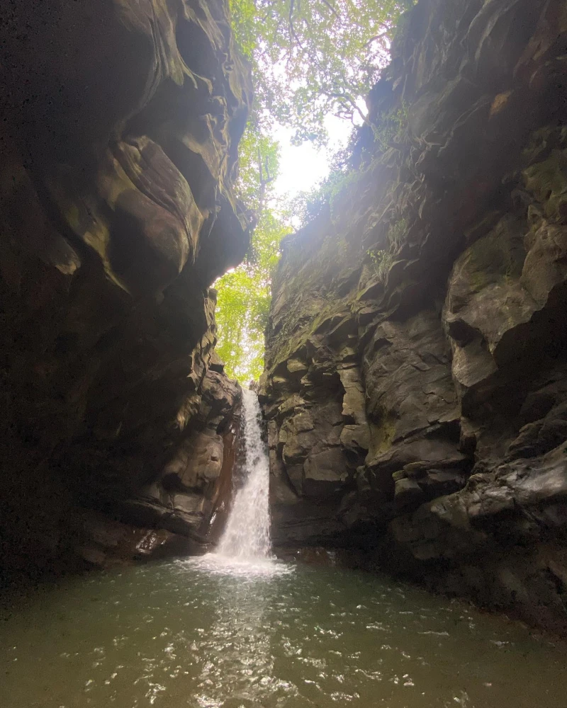 _
