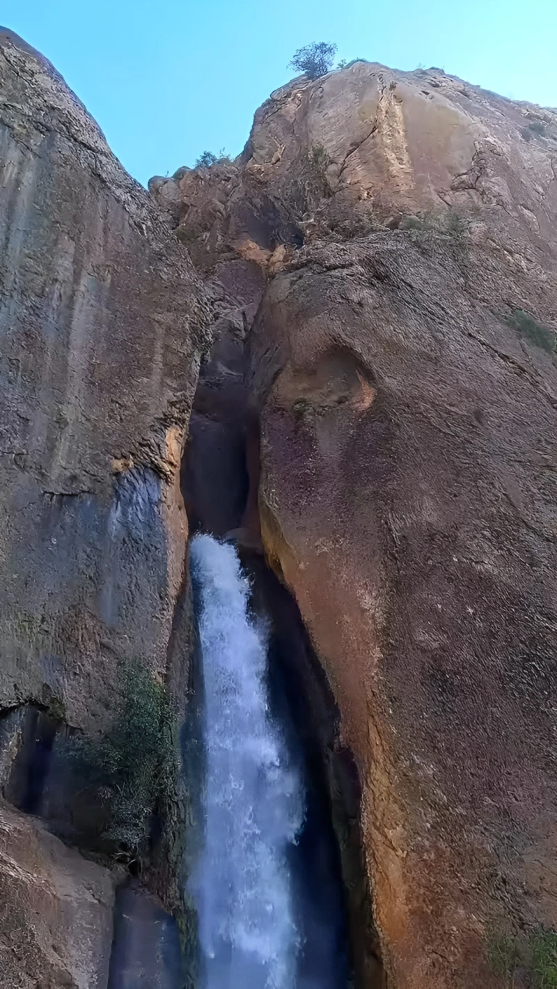 _