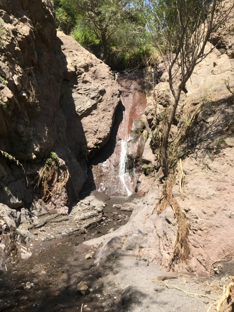 _