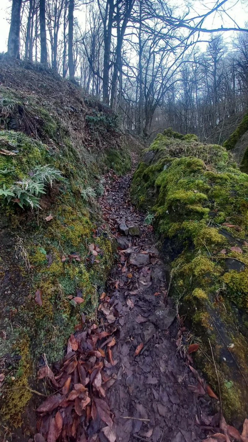 _