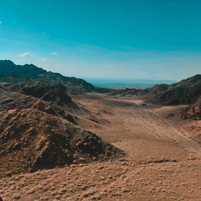 _