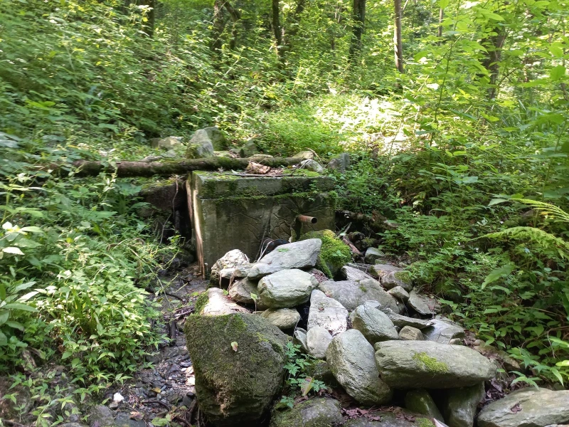 _