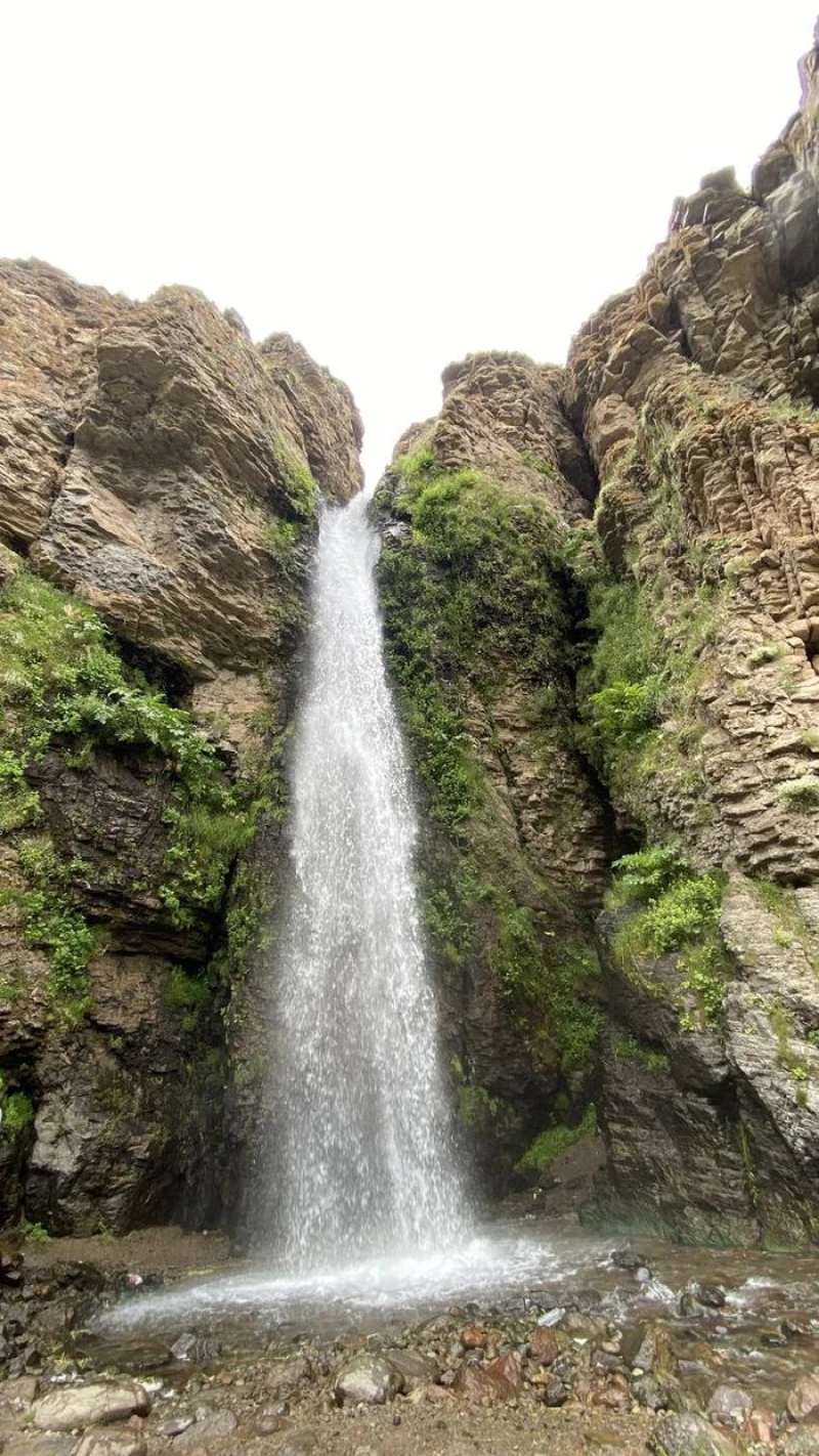 _
