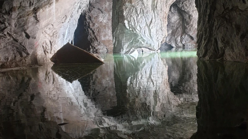 _