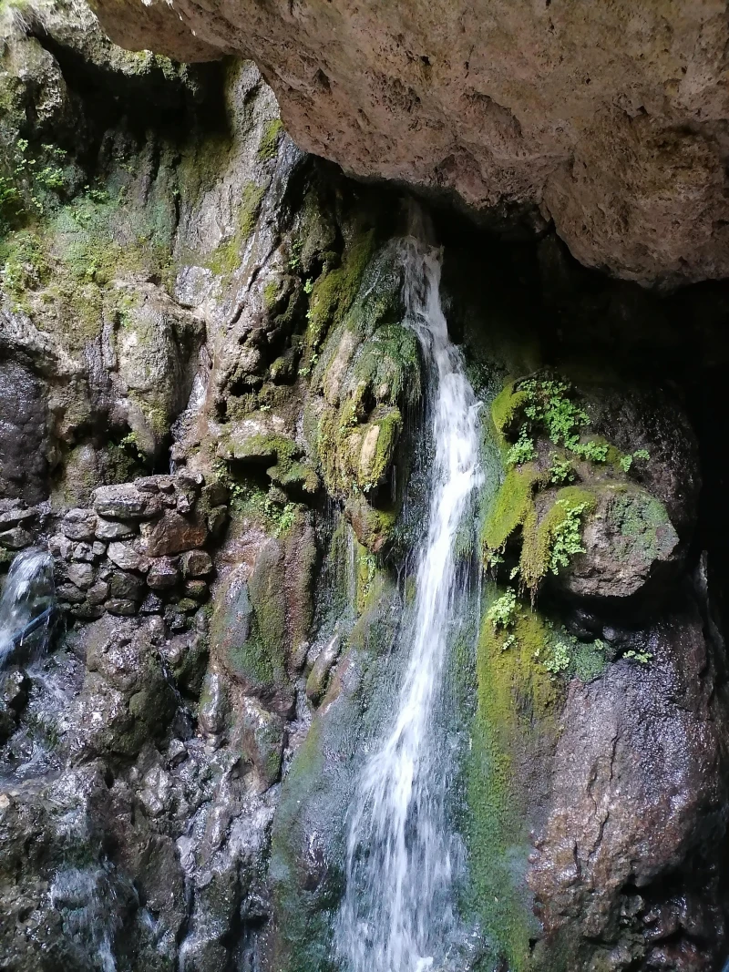 _