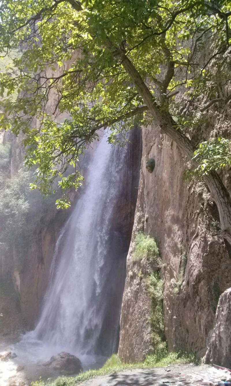 _