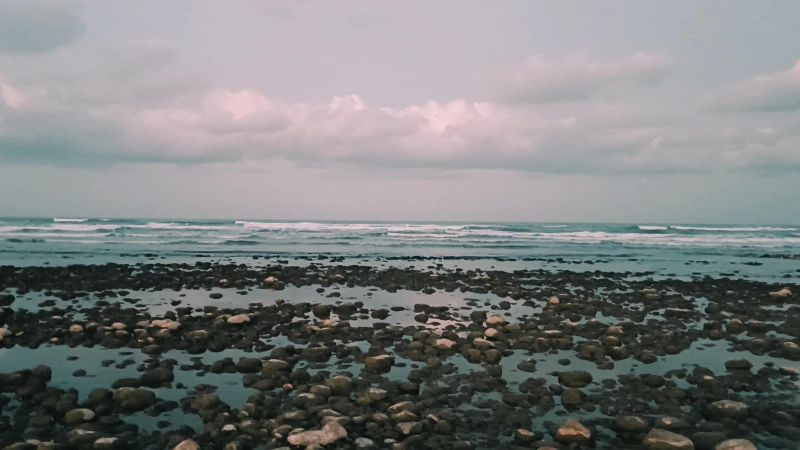 _