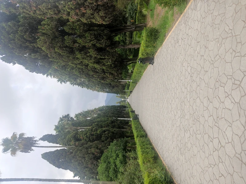_
