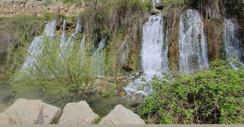 _