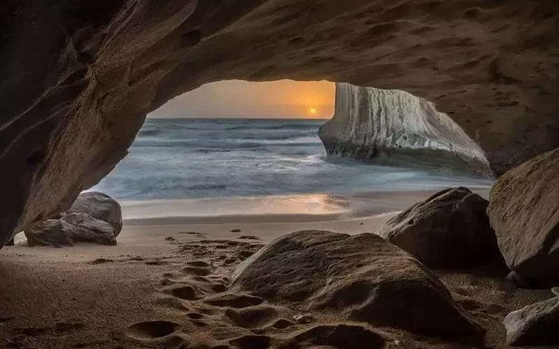 _