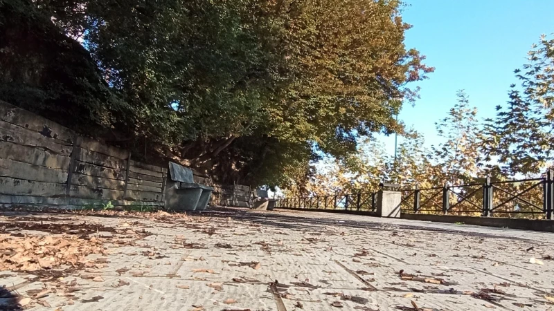 _