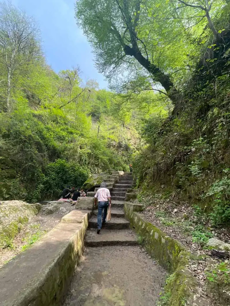 _