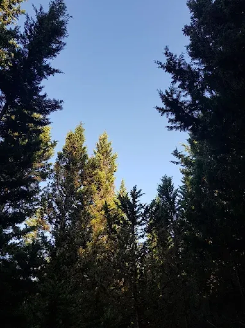 _