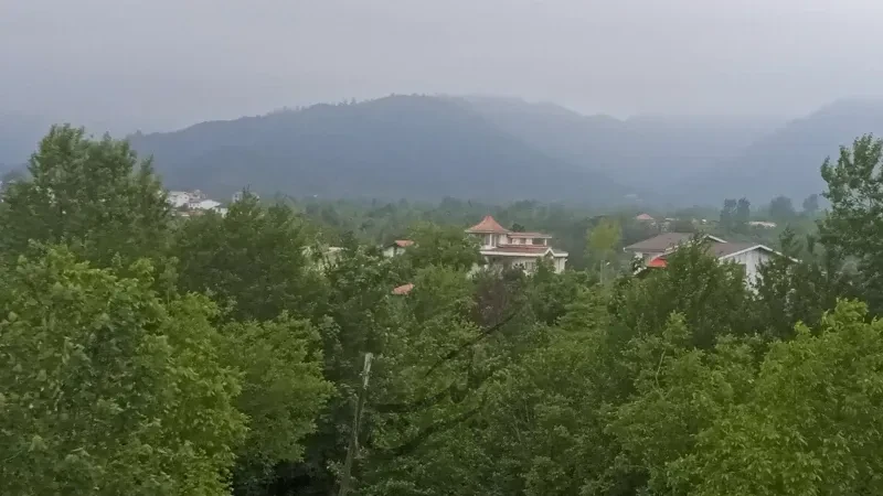 _