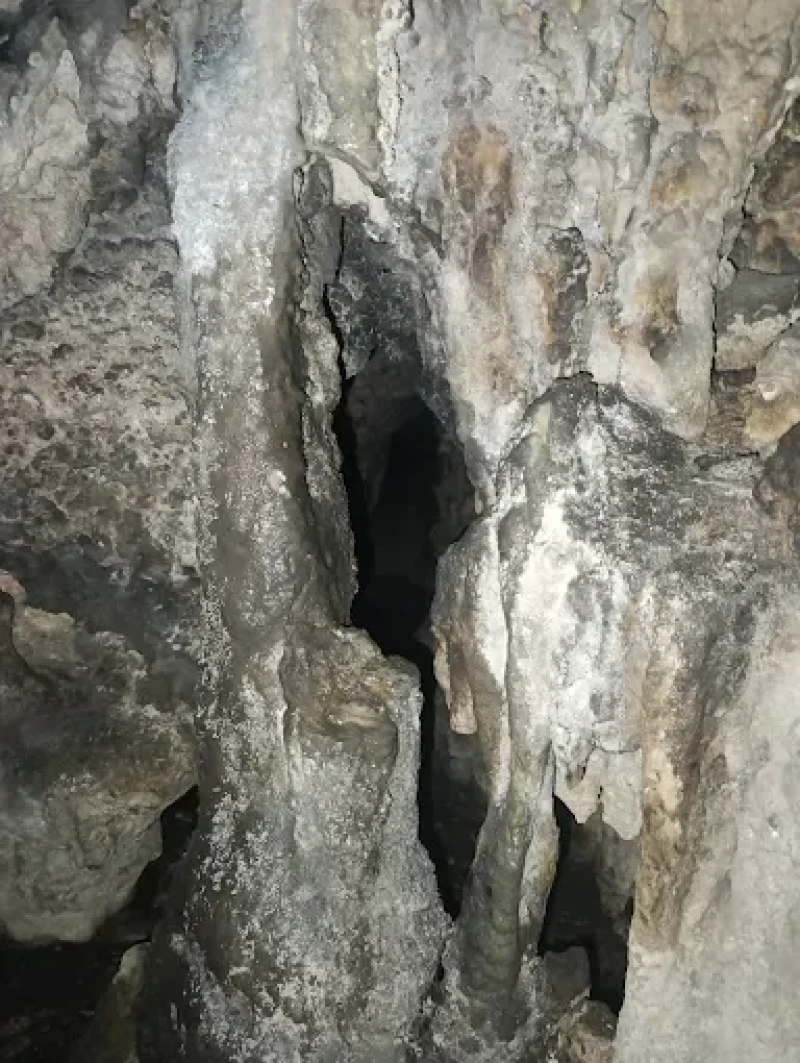 _
