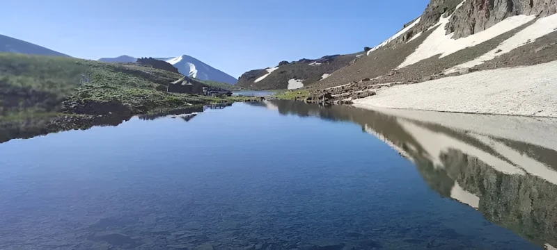 _