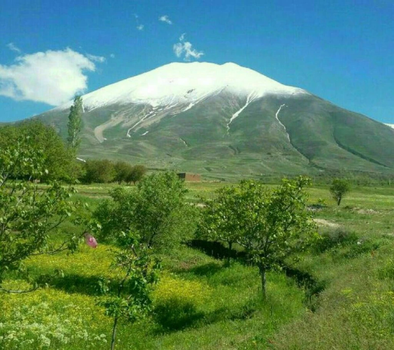 _