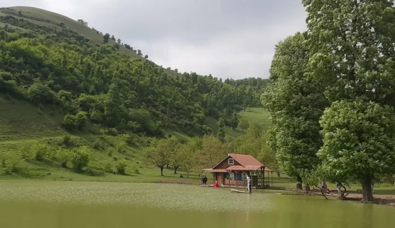 _