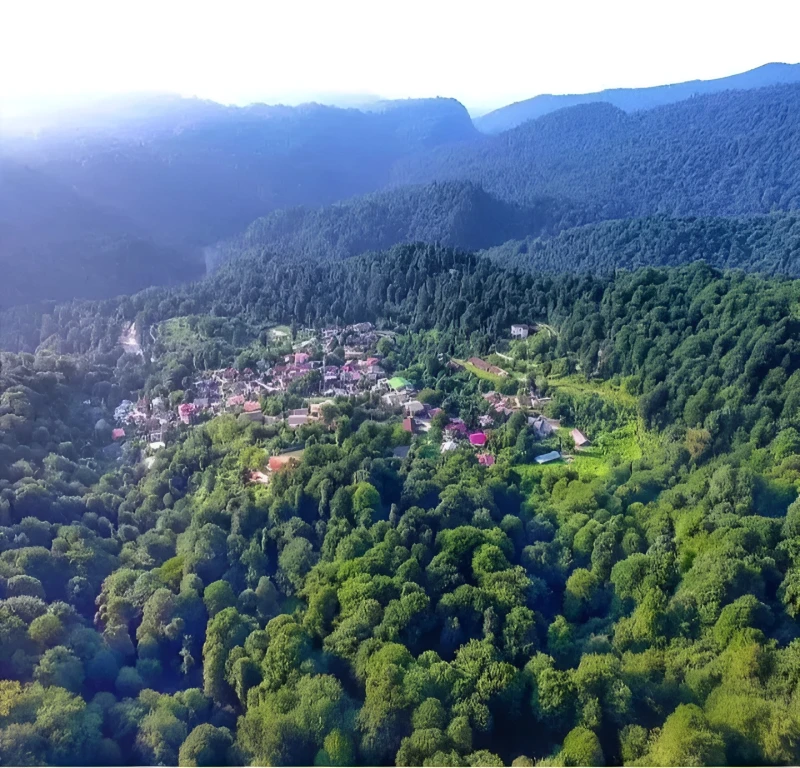 _
