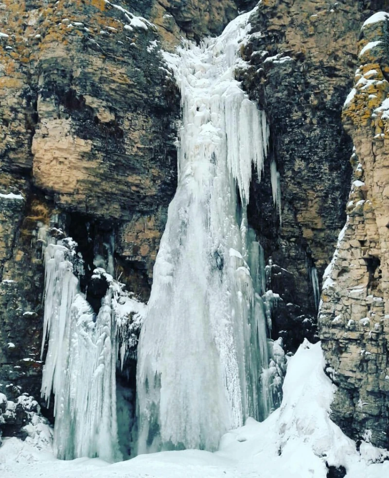 _