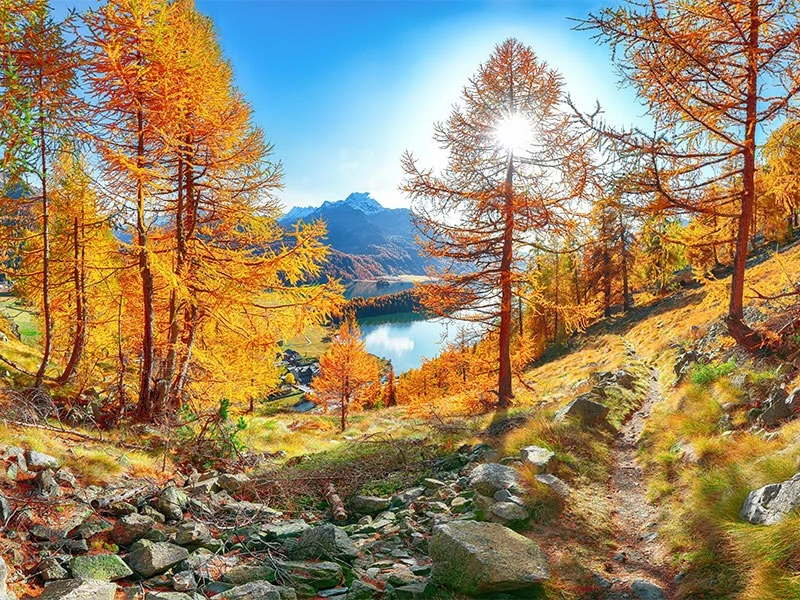 _