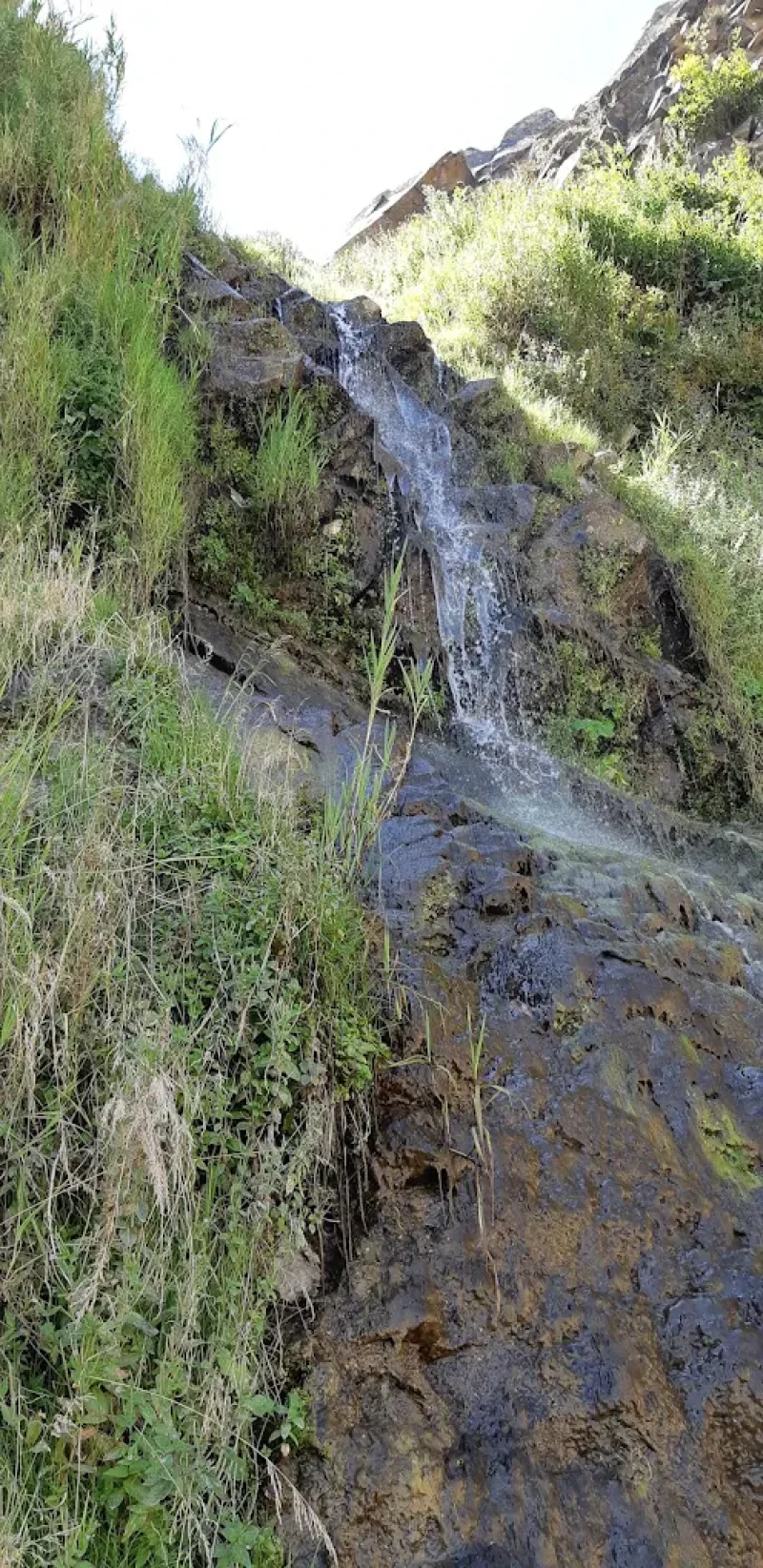 _