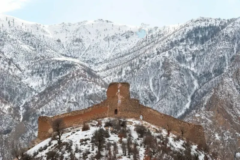 _