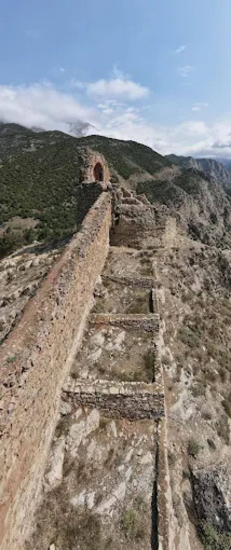 _