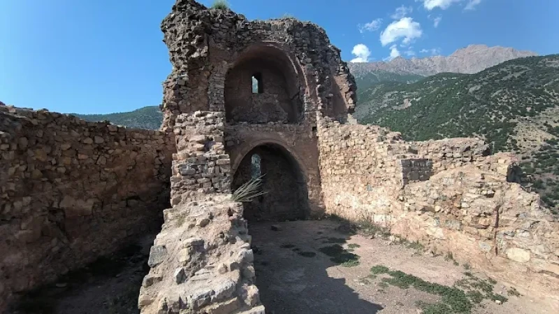 _