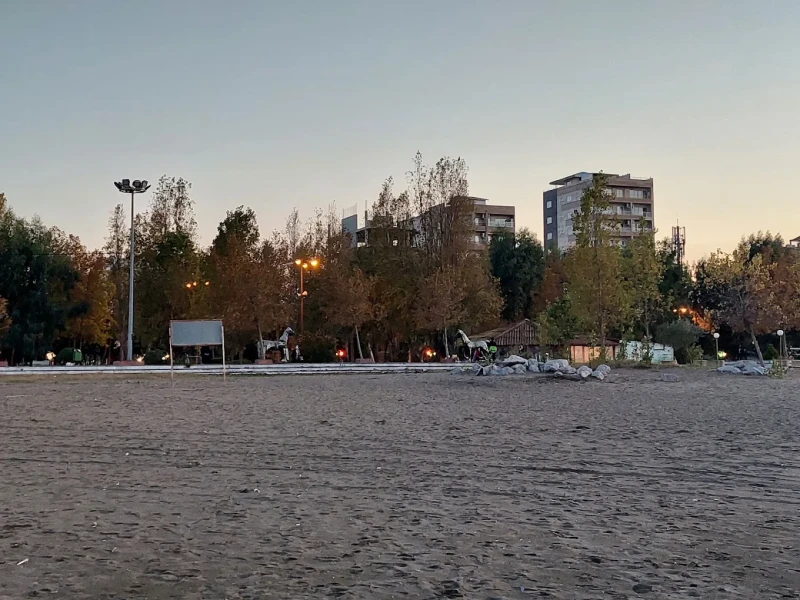 _