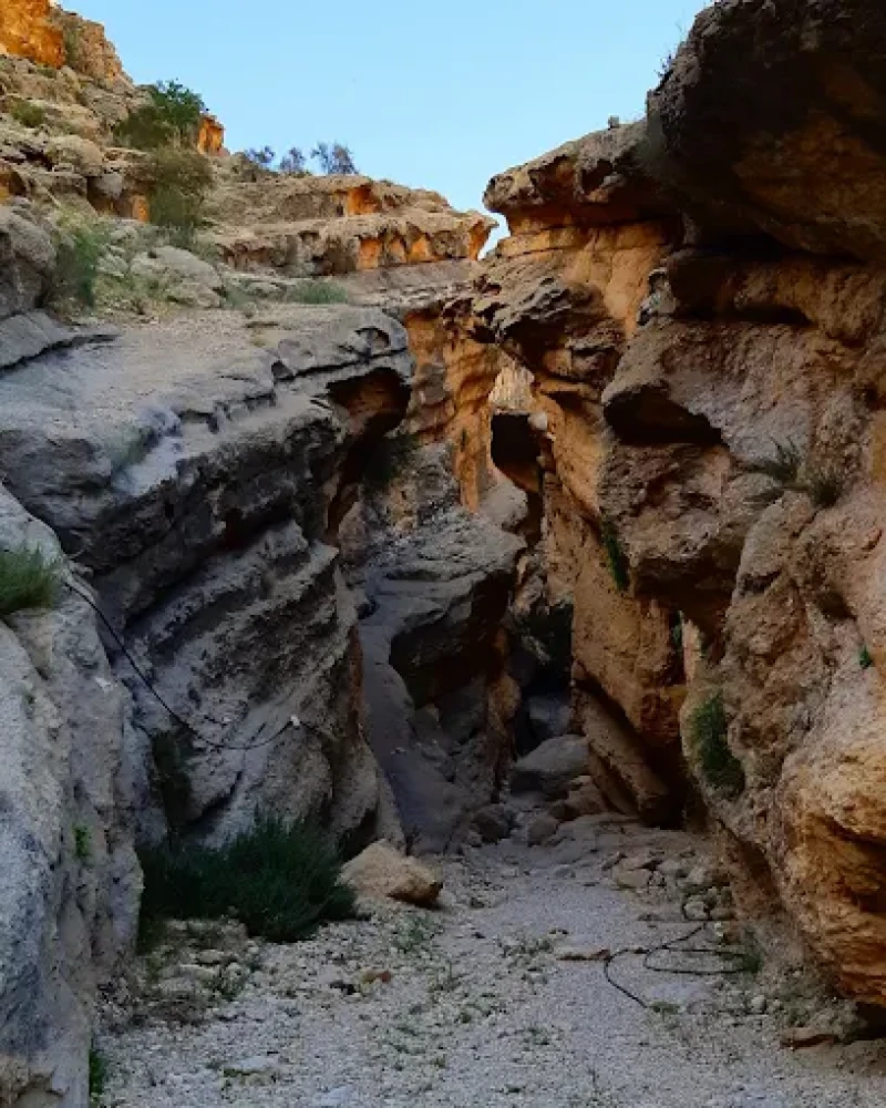 _