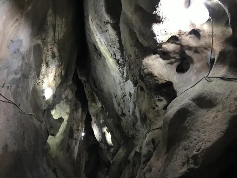 _