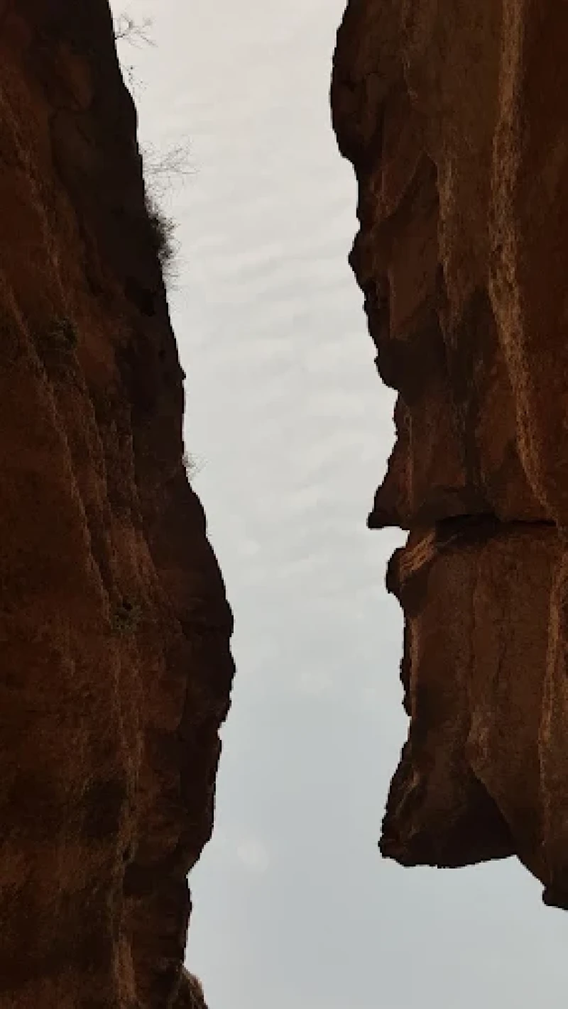 _