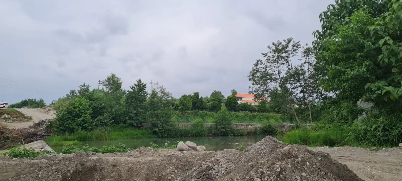 _