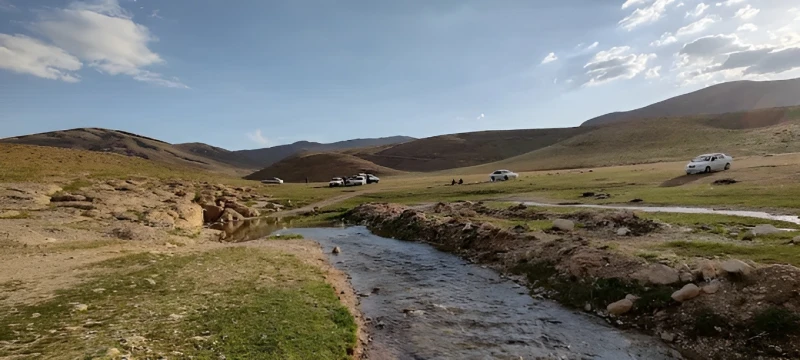 _