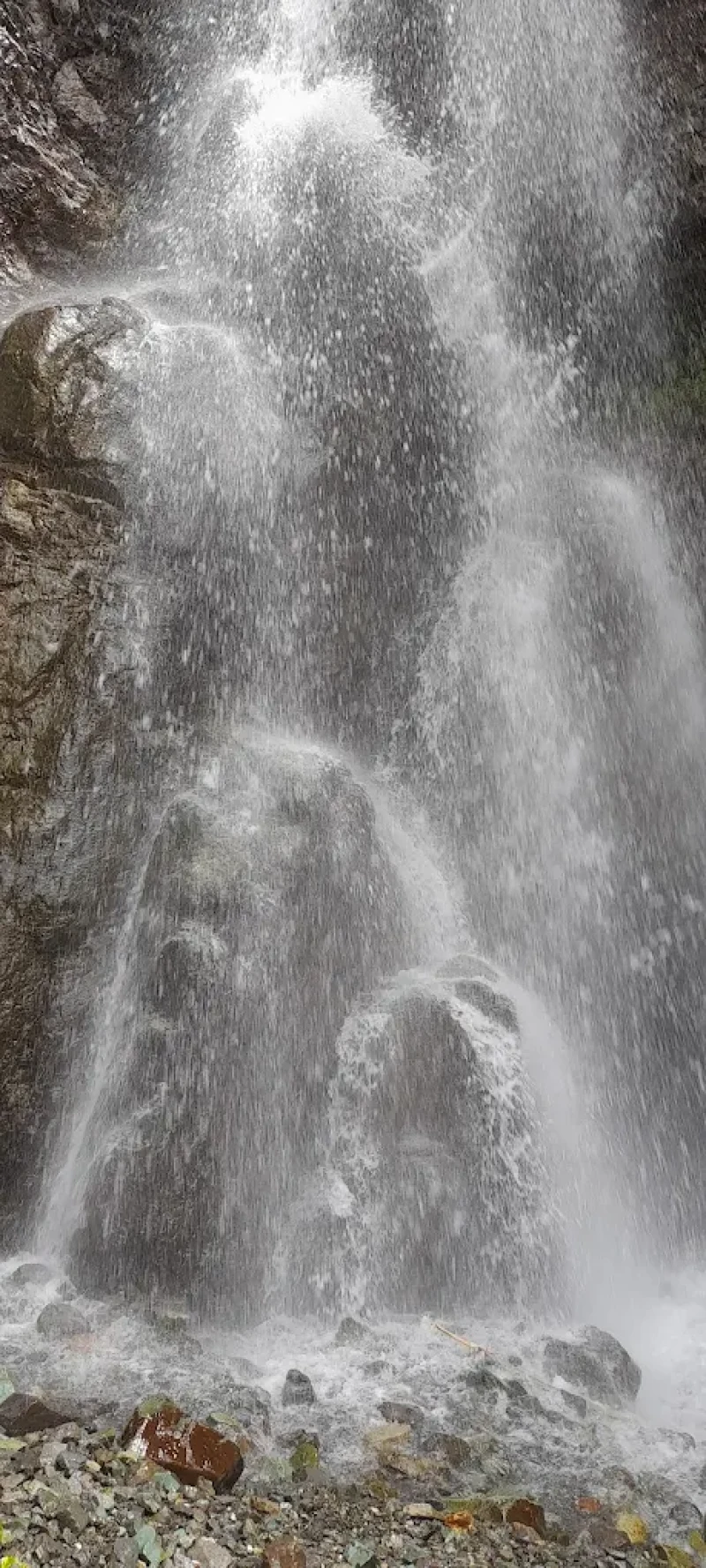 _