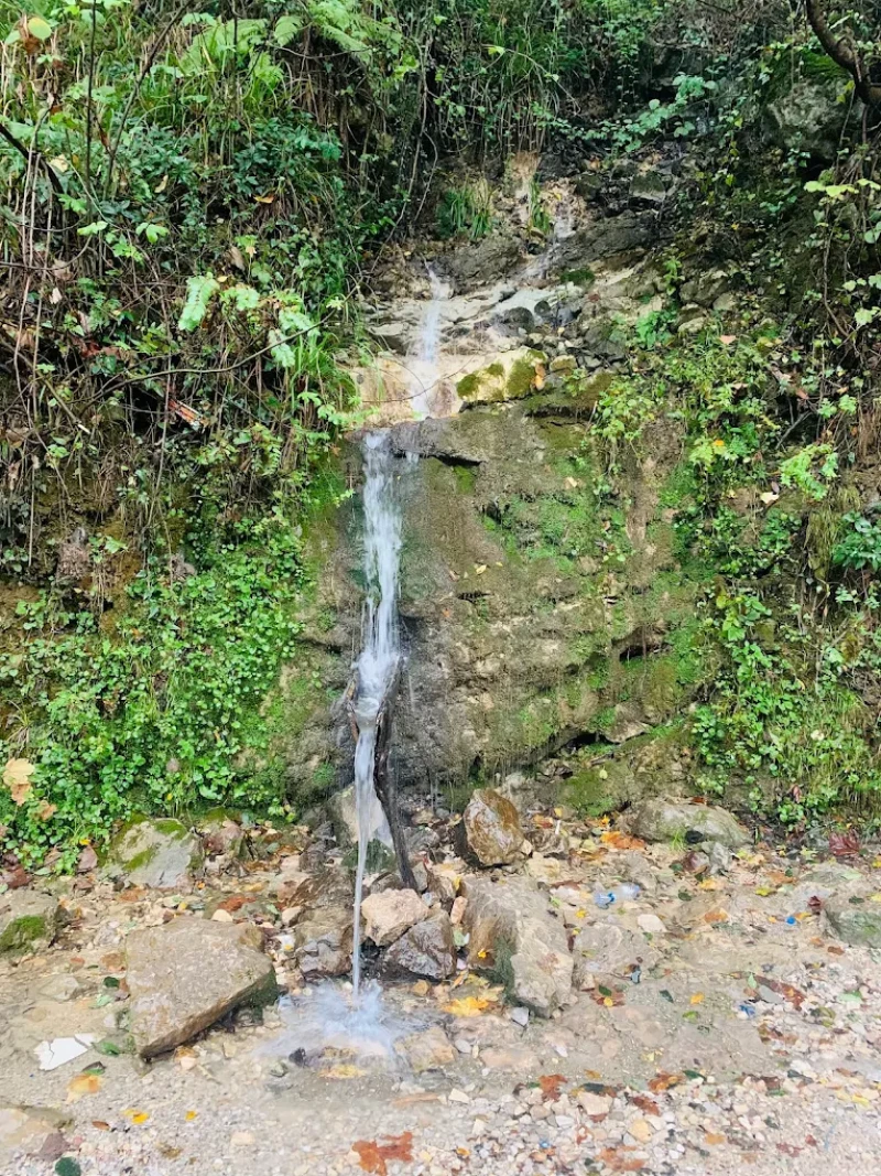 _