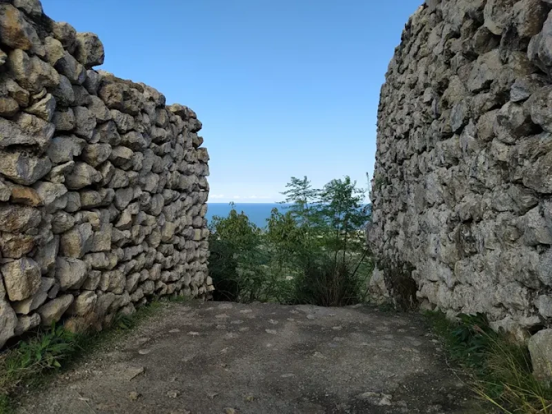 _