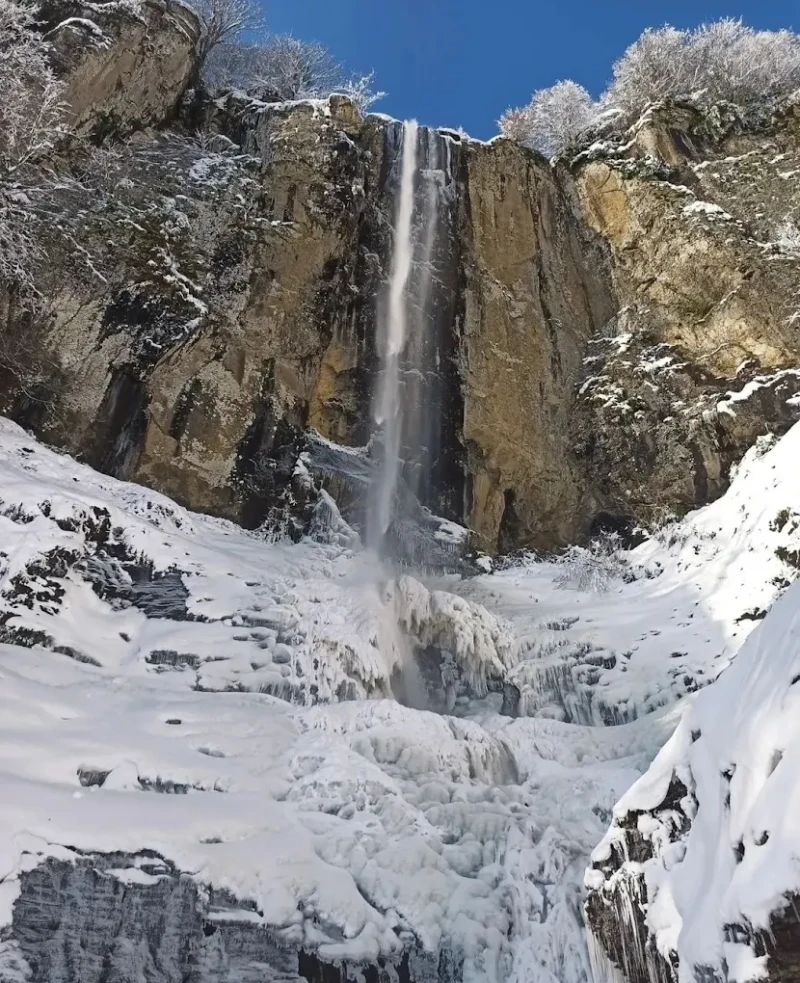 _
