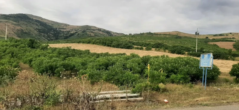_