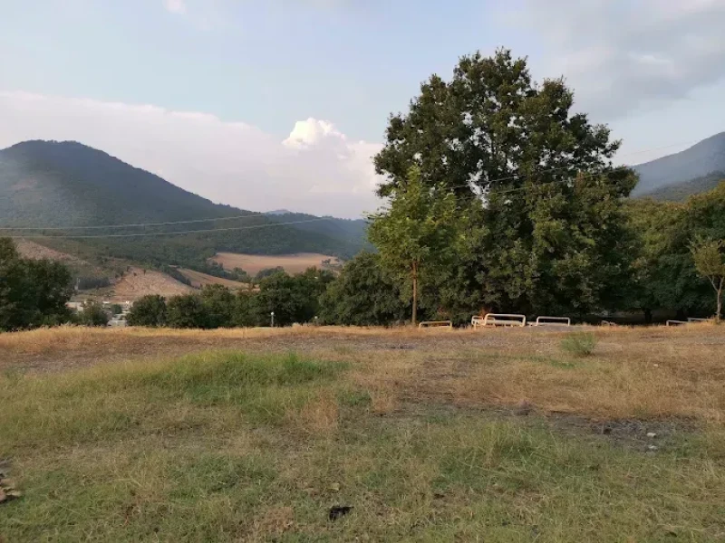 _