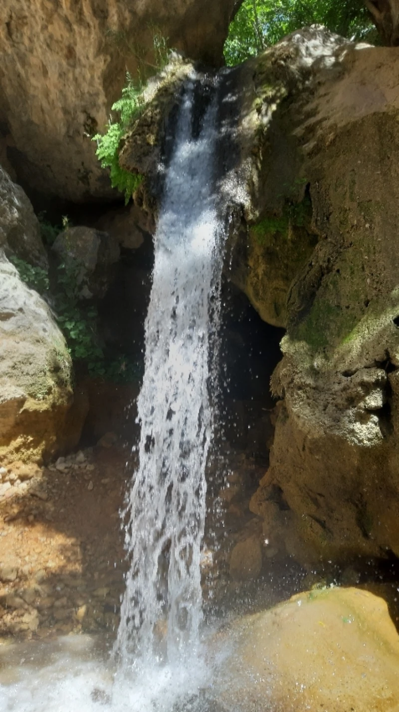 _