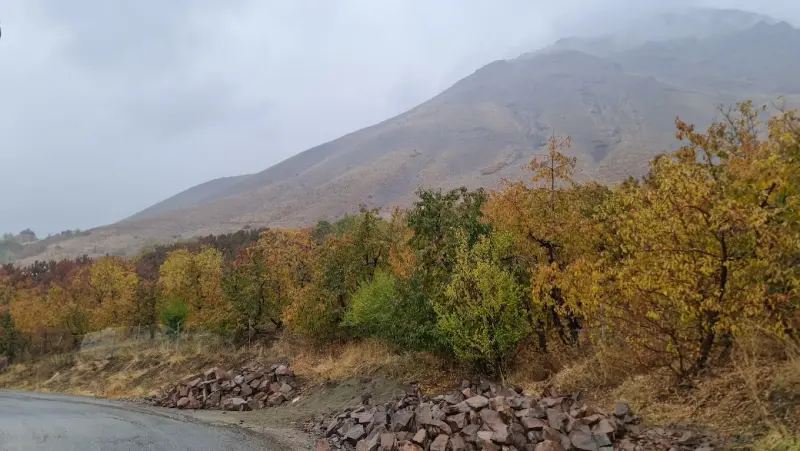 روستای راحت آباد - تصویر 1