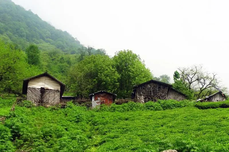 روستای آلوارس - تصویر 1