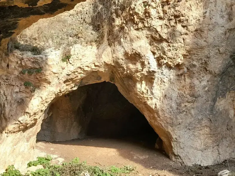 غار لی در