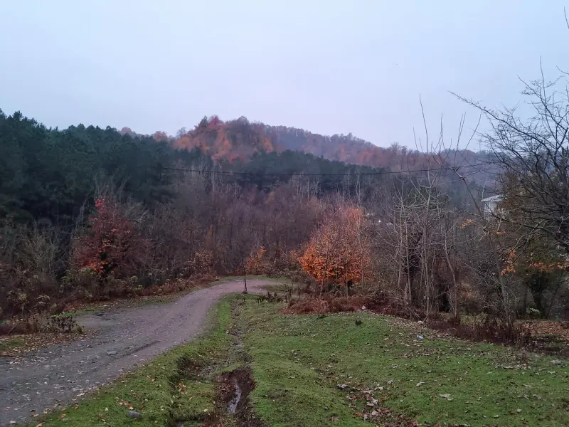 روستای خانه آسیاب - تصویر 4