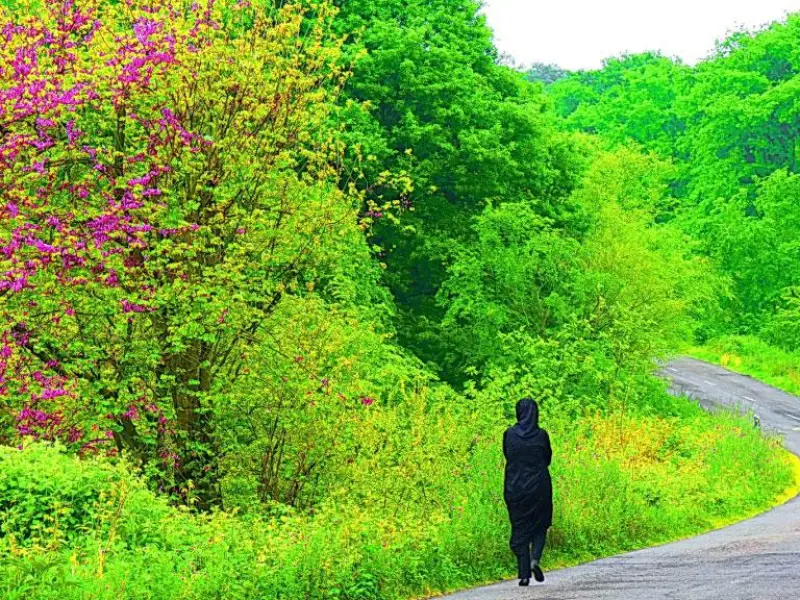 پناهگاه حیات‌وحش سمسکنده - تصویر 4