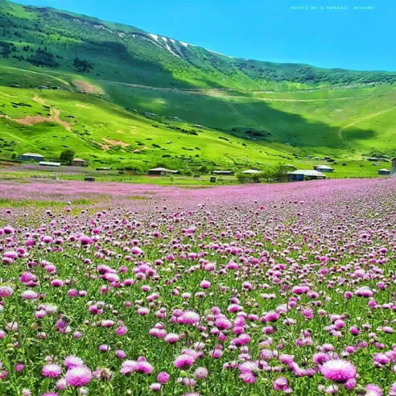 ییلاق اسالم - تصویر 2