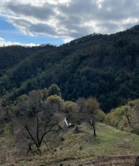 جنگل کشفی آستارا، گیلان