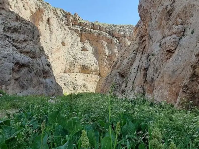 تنگه میشینه مرگ - تصویر 3